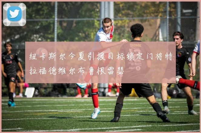纽卡斯尔今夏引援目标锁定门将特拉福德维尔布鲁根雷瑟