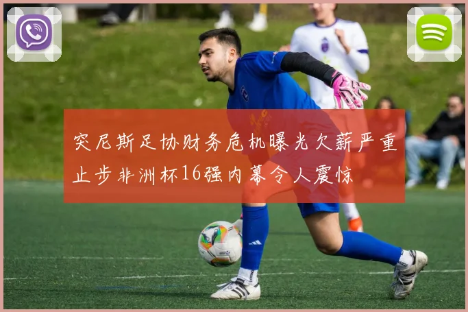 突尼斯足协财务危机曝光欠薪严重止步非洲杯16强内幕令人震惊