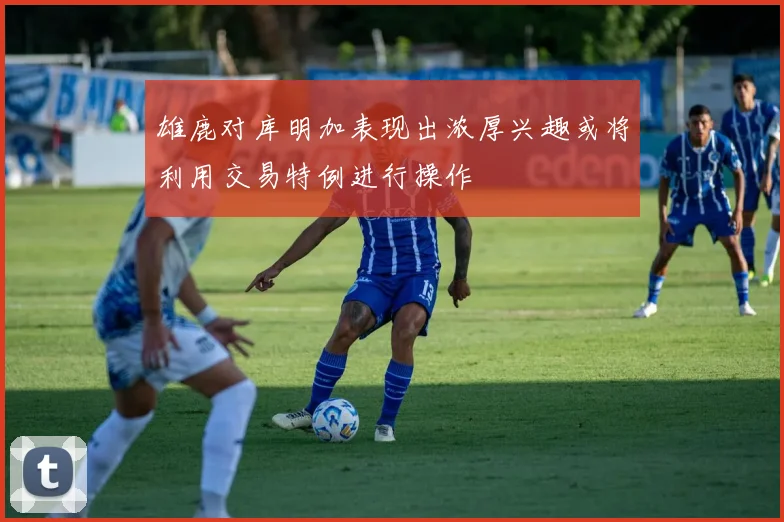 雄鹿对库明加表现出浓厚兴趣或将利用交易特例进行操作